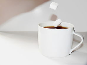 揭秘保时捷专属水杯品牌，品质与品味的完美融合