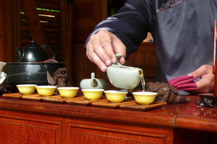 高山出好茶，品质铸就品牌