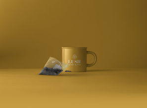 陶瓷杯子高颜值套装品牌，让你的生活美学从杯开始！