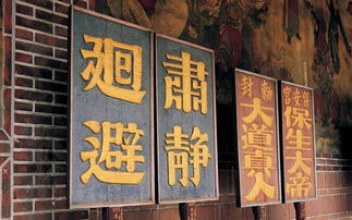 揭秘连云港书法辅导品牌，传承国粹，点亮书法艺术之光