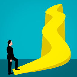 一年级儿童玩具高端品牌大解密，精选、热门与趋势分析