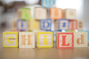 瑞安幼儿园玩具品牌排行，热门选择及其魅力解析