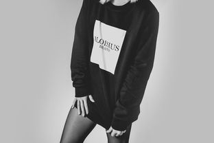 西服品牌徽章，时尚与品质的完美融合