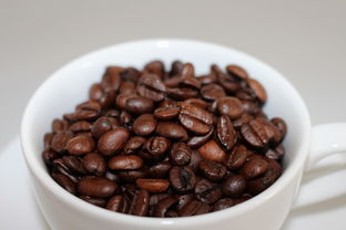 揭秘bean品牌水杯—时尚、健康、环保的生活伴侣