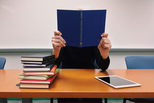 学校舞蹈品牌建设方案