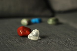 珊瑚手链，海洋的诗意与时尚的融合