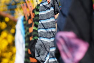 男士干洗品牌衣服推荐，穿出格调，护衣有道