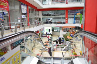 乌海杀菌吊顶知名品牌店深度解析