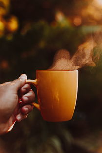 泡茶机器人品牌盘点，智能生活新宠，茶香四溢的未来