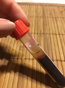 牙刷大比拼，哪个品牌才是你的心头好？