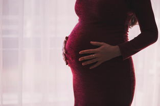 孕妈妈专用发胶推荐品牌大盘点，孕期美发无忧！