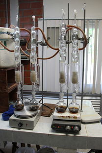 青少年脊柱测量仪器品牌解析，守护青少年脊柱健康的重要伙伴