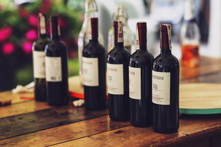 国外陶瓷瓶白酒品牌深度解析