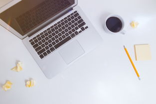 如何选择吊顶品牌，实用指南与案例分析