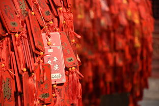 中国迪士尼旗袍品牌，传统与现代的融合之旅