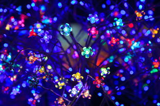 南昌LED灯具品牌概览