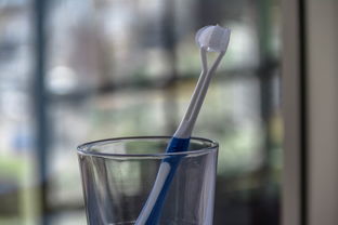 专柜品牌牙刷杯—口腔护理的时尚伴侣