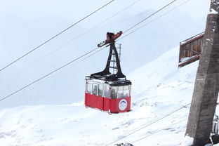 探索高峰，智能同行—揭秘登山机器人品牌新纪元