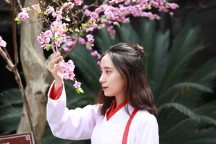 探索最贵的古装汉服品牌——奢华与文化的结合