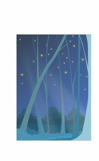 森林之星板材品牌介绍与案例分析