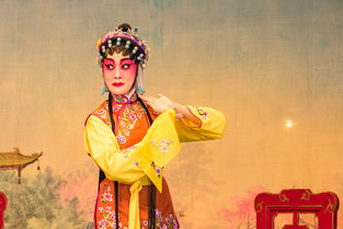 探索汉服的现代魅力——品牌女士汉服的魅力与选择指南