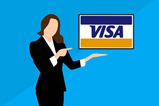 户外油漆美国品牌解析，品质、应用与案例探讨